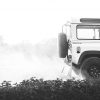 Met dank aan Panda the Landy voor de mooie actiefoto! https://www.instagram.com/pandathelandy/
